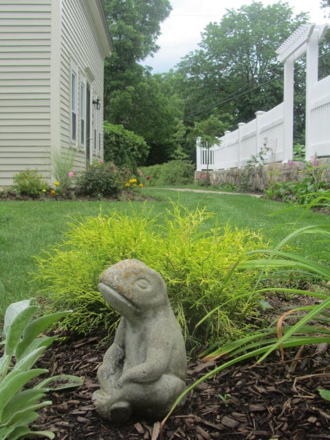 Winch Street Garden Scene